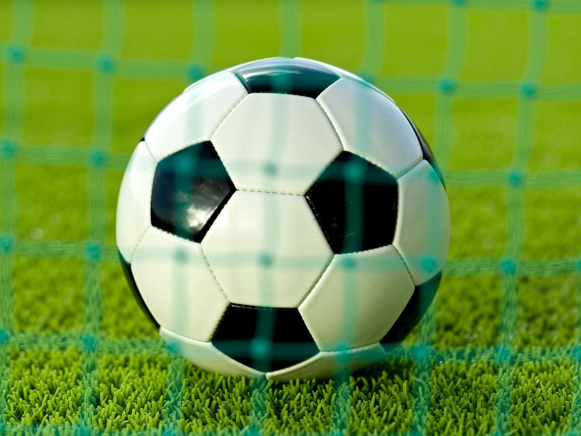 九游网页版入口-“高新区全民健身馆短柄墙球:快速抉择和精准攻击决定比赛走向” 第3张