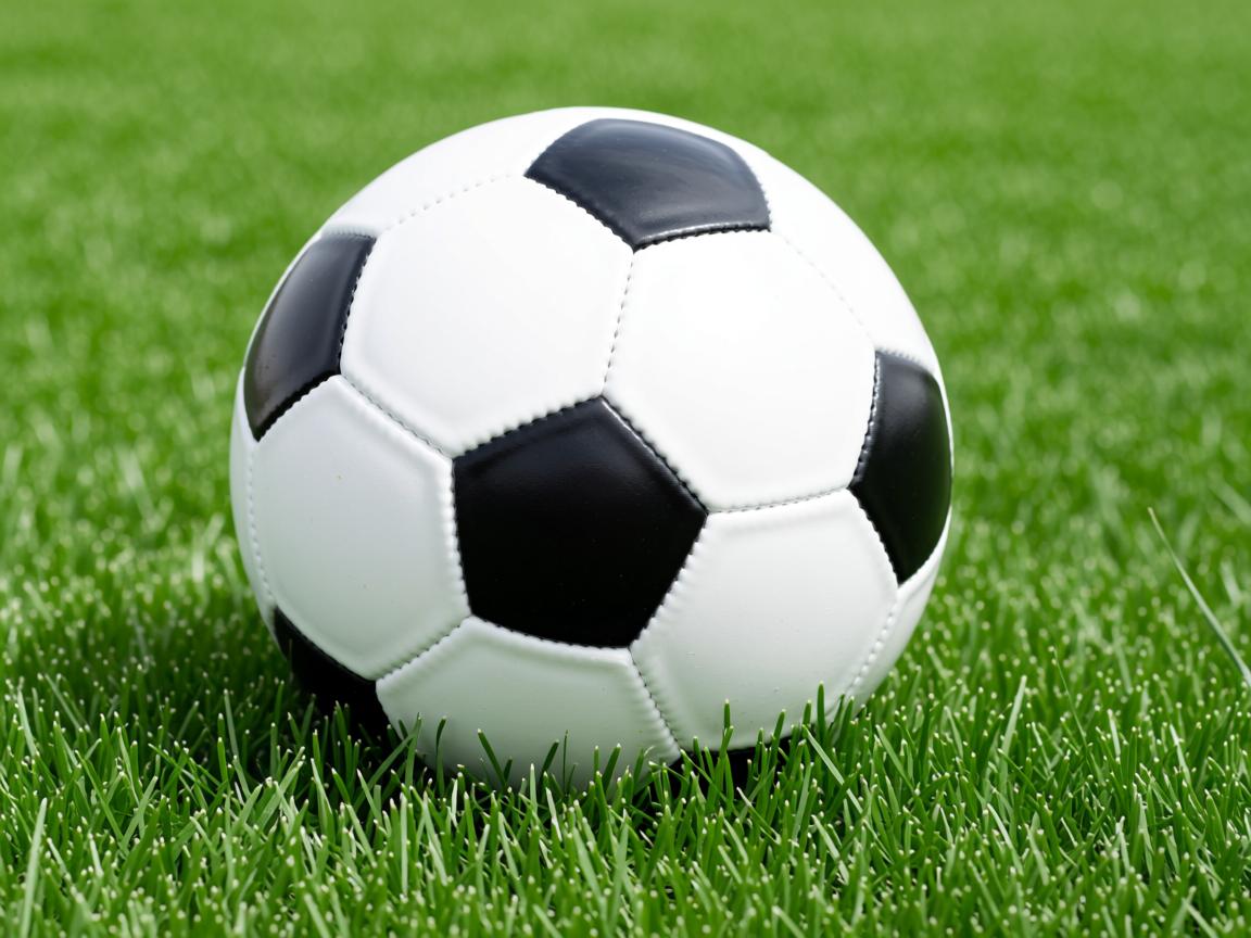 九游官网入口地址-世界杯预选赛中国队平局 球迷理性分析，世界杯预选赛中国队和谁打平了