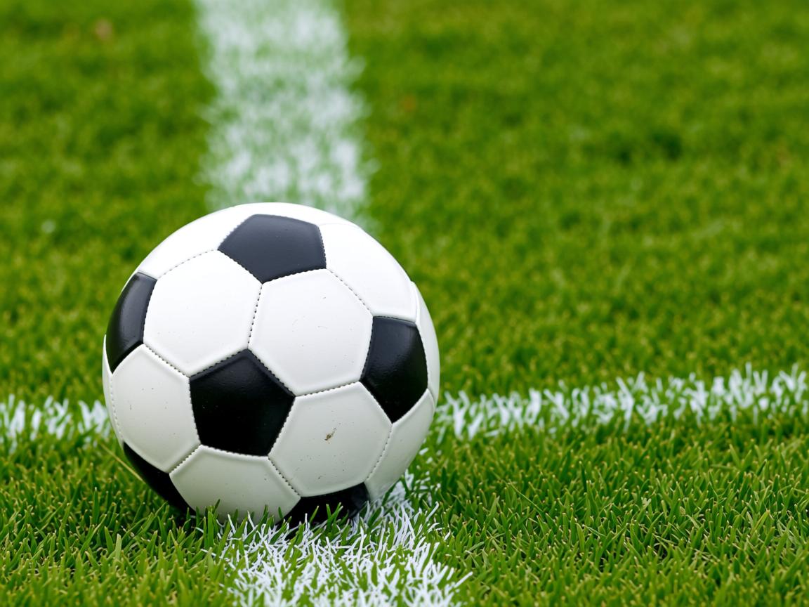 九游体育官网入口-冲刺爆发力数据揭秘冠军秘密，冲刺爆发谁的技能  第3张