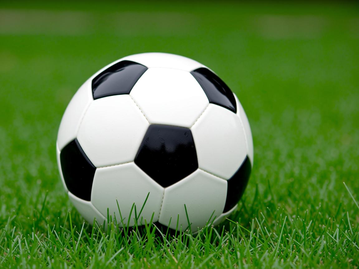 九游网页版入口-图卢兹加强转换进攻寻找得分突破口，图卢兹攻略  第3张